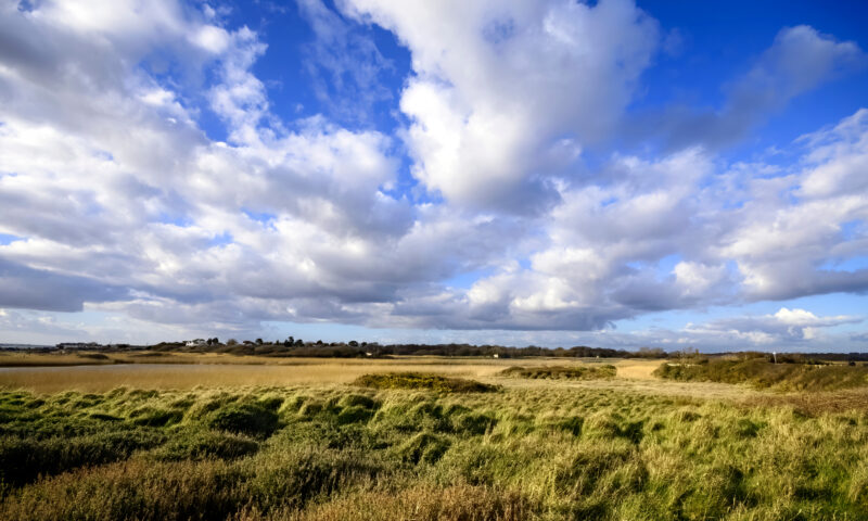View,Across,Titchfield,Haven,Nature,Reserve,,Hampshire,Uk